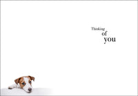 Inside Verse - Thinking of you.