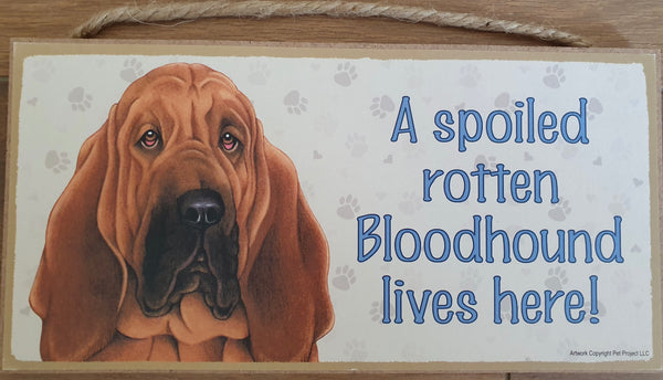 Wooden Plaque of Bloodhound, Saying A spoiled rotten Bloodhound lives here! 255mm x 128mm x 9mm