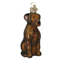 Hand Blown glass - Brown Labrador