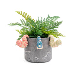 Ceramic Caterpillar pot sitter in assorted colours of Coral, Blue and Green