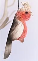 Hanging Bristlebrush - Ornaments