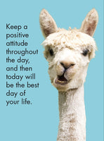 Twigseeds - 24 Affirmation Cards - Llama Nirvana