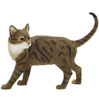 Tabby Cat Standing by Leonardo Design