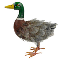 Mr Duck