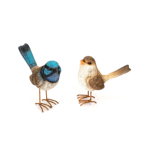 Fairy Wren Male & Female pair sold separately. Male Blue and Female Brown