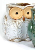Beautifully colourful owl planter in white. Available in two sizes  14cm or 18cm  Sold separately