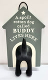 Dog Lead Hooks - Buddy