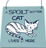 Square Plaques Cat & Dogs