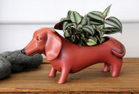 Dachshund Planter in Red brown colour