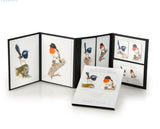  Australia’s Beautiful Birds beautifully presented gift packs great for overseas gifts. Created by Jeremy Boot
