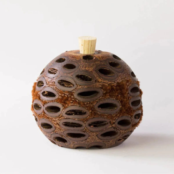 Banksia Nut Mini Aroma pod