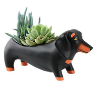 Baby OTIS Dachshund Planter by Rikaro - W 21cm.  Great additions to any house or garden.