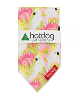 Bandana - Cockatoo Pink
