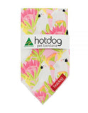 Bandana - Cockatoo Pink