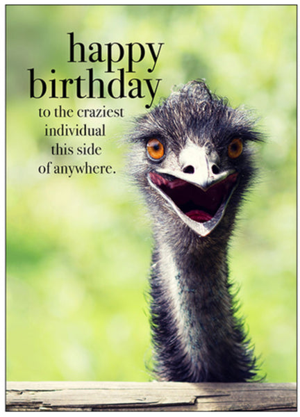 Beautiful Happy birthday card - with annotation   Happy Birthday - to the craziest individual this side of anywhere.