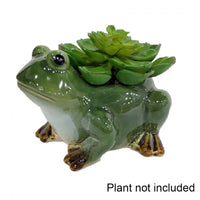 Beautiful Ceramic Frog Planter. Great gift for all Frog Lovers. Plant not included.