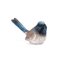 Fairy Wren Blue Male with NO feet