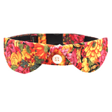 Autumn Flowers Blouse Dog Collar -  Hues of Orange Yellow and Brown 