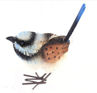 Hanging Bristlebrush - Ornaments