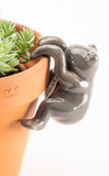 Dark Grey Frog Ceramic Frog pot sitters. Fantastic to jazz up any pot in the garden or inside the home. Colours available are Jade Green, Dark Green or Dark Grey.  Dimensions: 9.7cm x 6.5cm x 7 cm