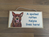 Kelpie Plaque - A Spoiled dog lives here