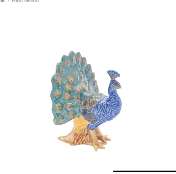 Peacock Fanned Tail