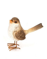 Fairy Wren Standing Female with Feet