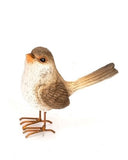 Fairy Wren Standing Female with Feet