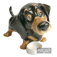 Filo - Dachshund - Little Paws