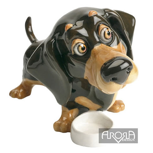 Filo - Dachshund - Little Paws