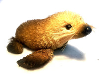 Bristlebrush - Furseal
