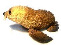 Bristlebrush - Furseal