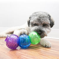 KONG lock-it Medium, show with smaller dog playing with toy to retrieve treats