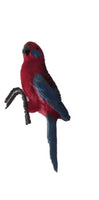 Pot Sitter Rosella