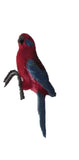 Pot Sitter Rosella