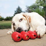 KONG GOODIE RIBBON - pictured with a labrador enjoying getting goodies from ribbon.