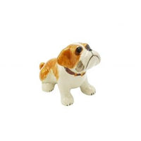 Big Bulldog Sitting or laying down
