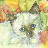 Small Gift Cards - Cats