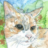 Small Gift Cards - Cats