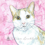 Small Gift Cards - Cats