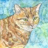 Small Gift Cards - Cats
