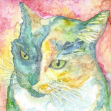 Small Gift Cards - Cats