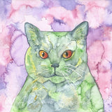 Small Gift Cards - Cats