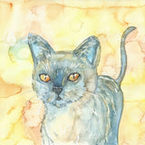 Small Gift Cards - Cats