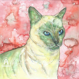 Small Gift Cards - Cats