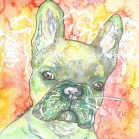 Gift Cards - Harry - Created by Alison Archibald - $3.50 ea