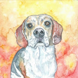 Gift Card - Jasper - Created by Alison Archibald - $3.50 ea