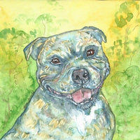 Gift Card - Brutus - Created by Alison Archibald - $3.50 ea