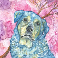 Gift Card - Jethro - Created by Alison Archibald - $3.50 ea