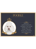 Fine Dining Pet Placemats - for one